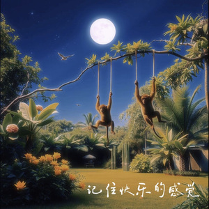 记住快乐的感觉(Sunazz Version)