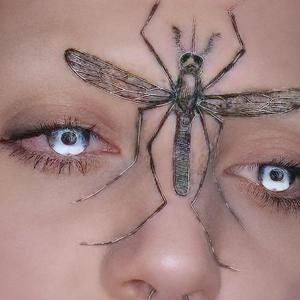 睡前（纯音乐）