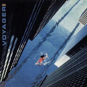 什么是爱What is love