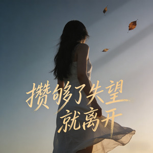 攒够了失望就离开