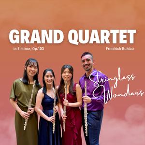 Grand Flute Quartet, Op.103 I. Andante maestoso, Allegro assai con molto fuoco (Live)
