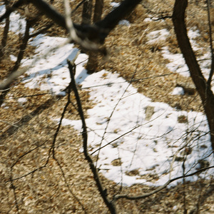 走向夕阳落山处