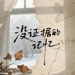 没证据的记忆