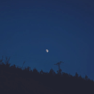 Bad Piggies Theme - Piano Version