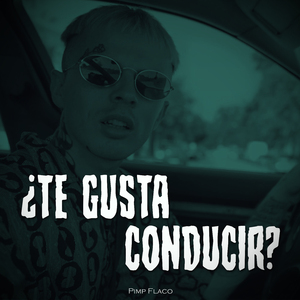 ¿Te Gusta Conducir?
