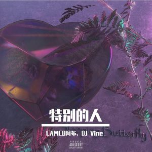 特别的人- (CAMCO & VINE Bootleg Mix)