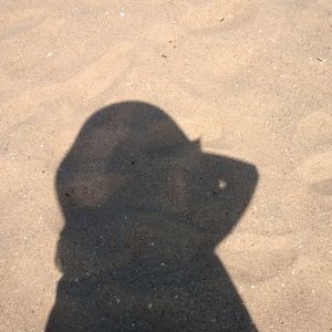 小朋友的大烦恼-中文律动版