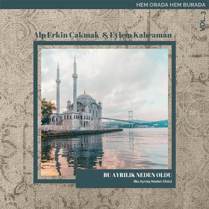 Bu Ayrılık Neden Oldu (Original Version of Bu Ayrılıq Neden Oldu)