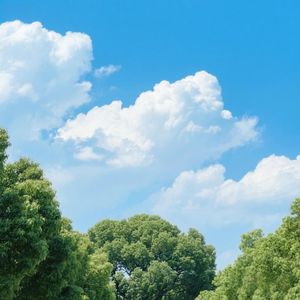 云淡风轻拂面