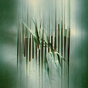 The Space Between Days