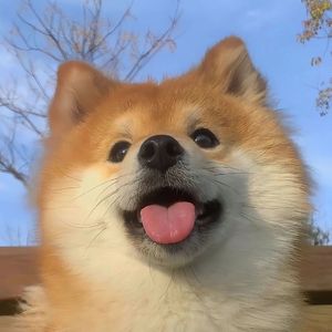 下个，路口，见