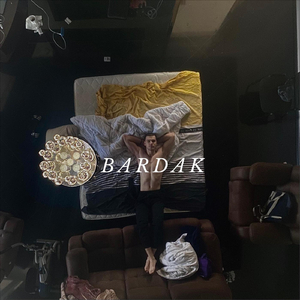 Bardak