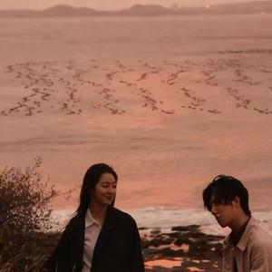 风没带你回来
