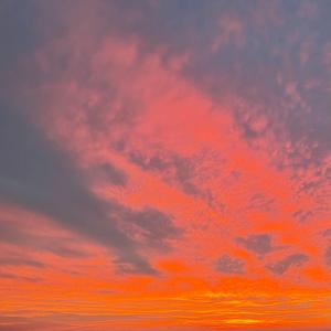 New Light (feat. Phinisey)