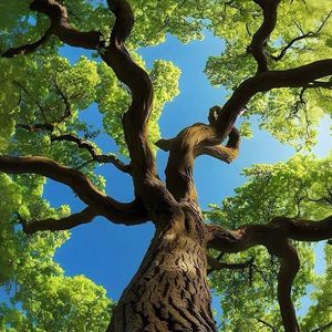 冒险之境悠游 伴奏