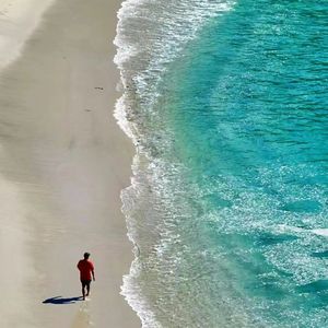 【FREE】"Hotel California" Type Afro Beat