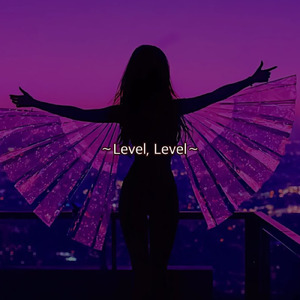 Level, Level