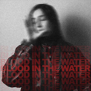 Blood In The Water