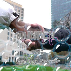 Wunden (feat. Santiago Ziesmer)