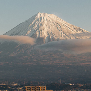 告别不是放弃爱你 是放弃了自己