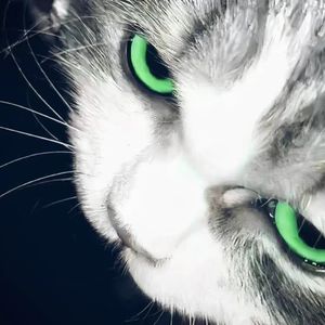 宇宙中的独特光
