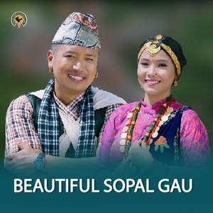 BEAUTIFUL SOPAL GAUN