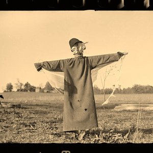 Down on Penny's Farm