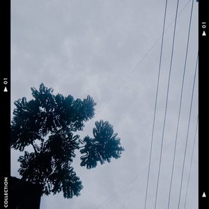 落叶逢秋（Prod by EVO MUSIC）