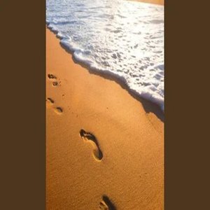 Every One Need Synth Leads