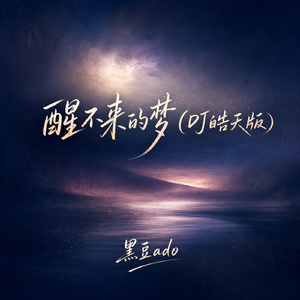醒不来的梦(DJ皓天版)