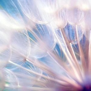 Nothing happened（Cover 罗佳希）