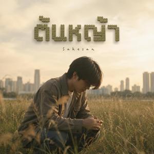 ต้นหญ้า(Grass)-Sakesan