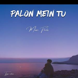Palon Mein Tu