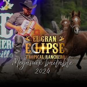 megamix bailable (en vivo) (En vivo)