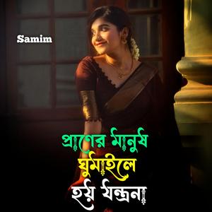 প্রাণের মানুষ ঘুমাইলে হয় যন্ত্রনা