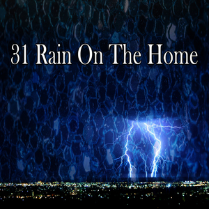 Rainforest Relaxation