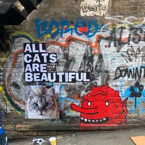 All Cats Are Beautiful