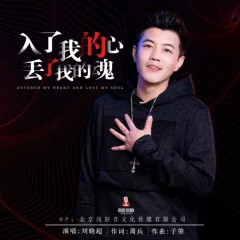 入了我的心丢了我的魂 (DJ阿远版)