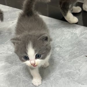 当你心爱的姑娘苦煞难熬