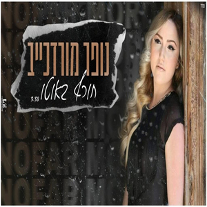 חורף באוטו