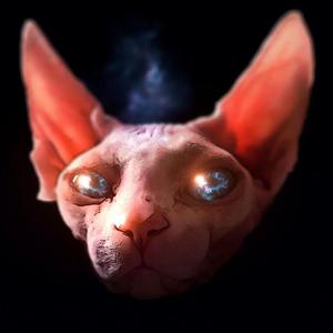 群星-2021 - 蔡依林 舞娘 - Alw6il9n艾瑋倫 Metal Core Bounce Mix（Alw6il9n艾瑋倫 / 蔡依林 remix）