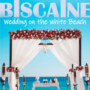 Wedding on the white Beach