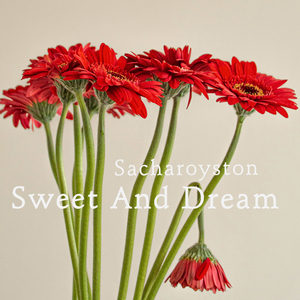 Sweet And Dream