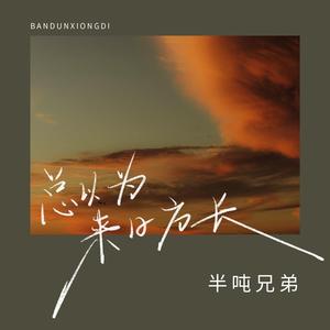 总以为来日方长 (DJ九零版)