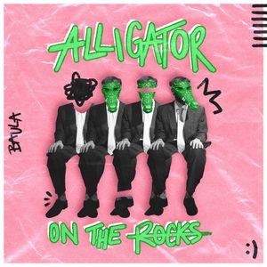 Alligator On The Rocks