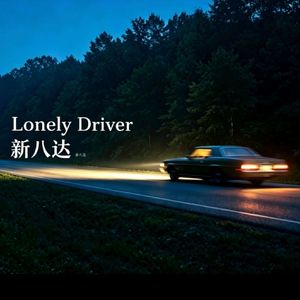 Lonely Driver