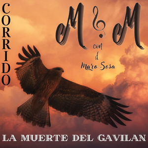 La Muerte del Gavilan
