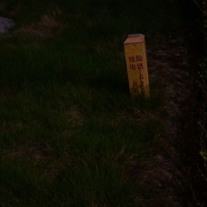 牯 岭 街 自 私 少 年