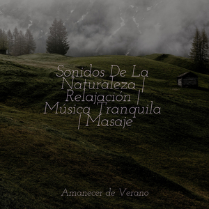 El último lamento de la lágrima escarlata