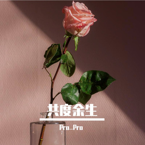 共度余生 伴奏